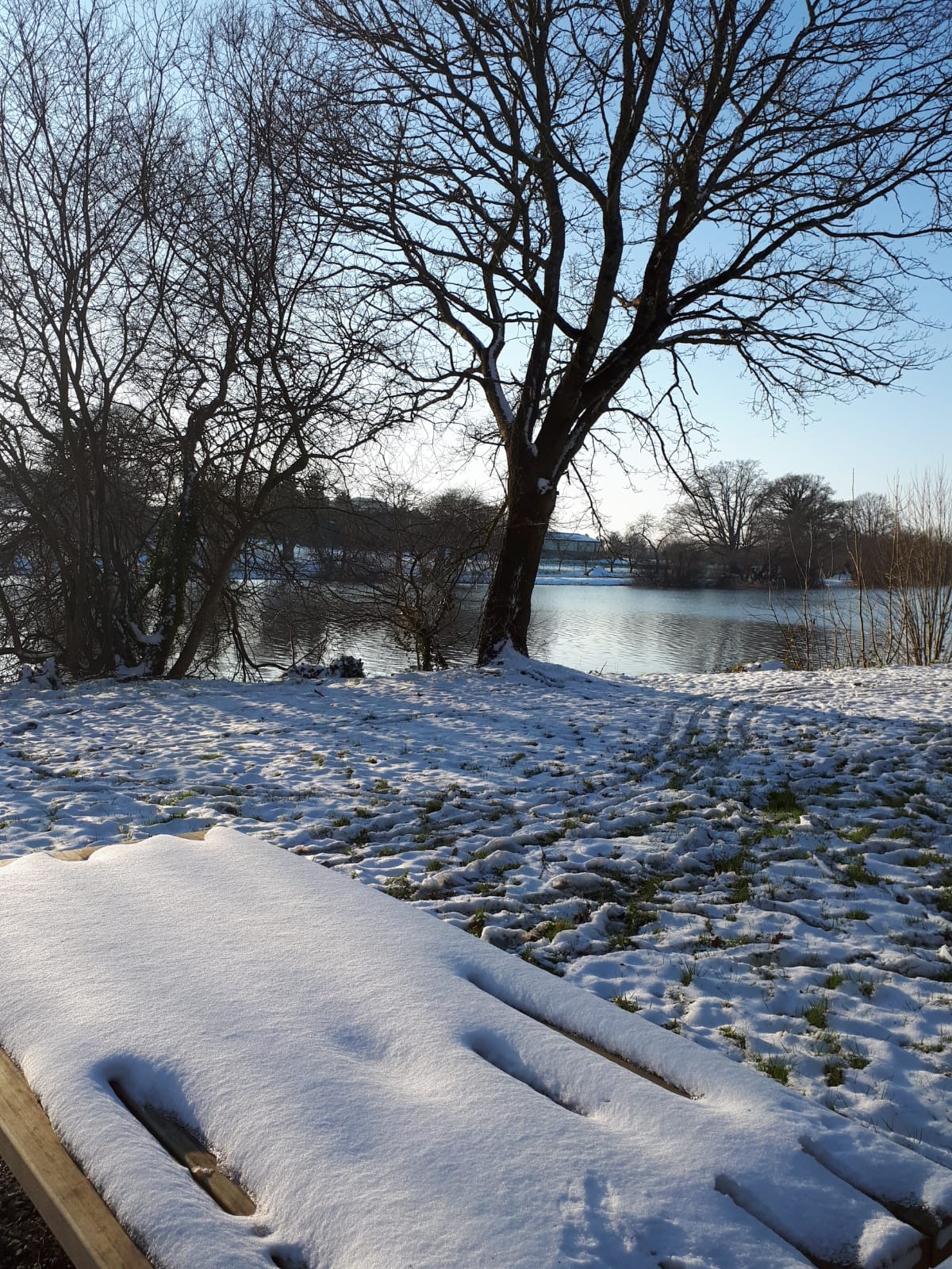 Photothèque ChâtillonenVendelais